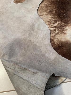 Lot 60. Animal Hide