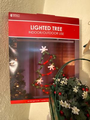 Assorted Christmas Decorations and Accessories | Lot Six