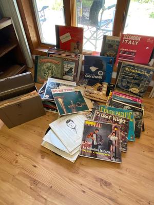 Viintage Vinyl Records Lot