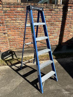 6ft Fiberglass Ladder