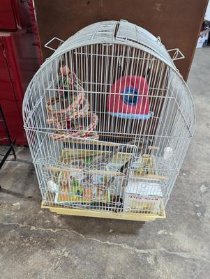 Large Birdcage