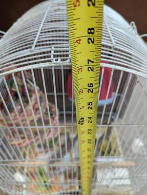 Large Birdcage
