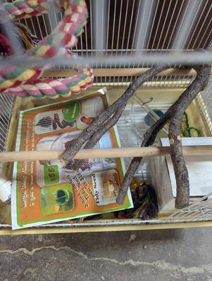 Large Birdcage