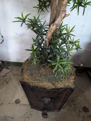 Artificial Tree With Metal Planter
