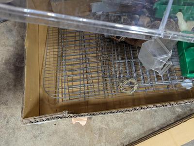 Vintage Bird Cage