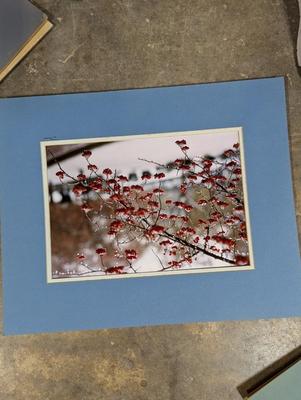 Still Photographs
