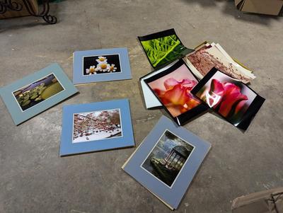 Still Photographs