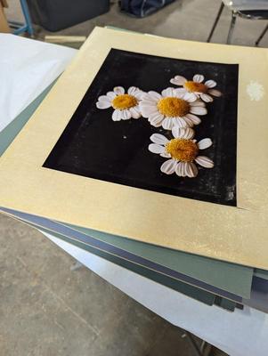 Still Photographs