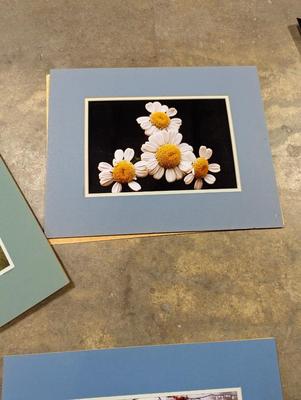 Still Photographs