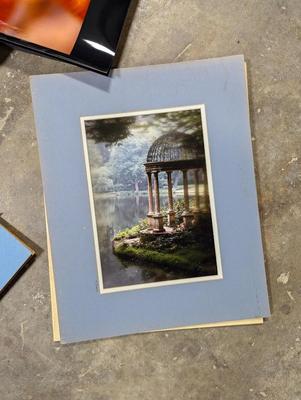 Still Photographs