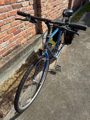 1995 Schwinn CrissCross City Hybrid Bike Chromoly Steal USA