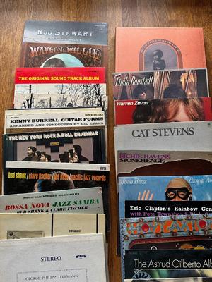 Record Collection 100+ Records