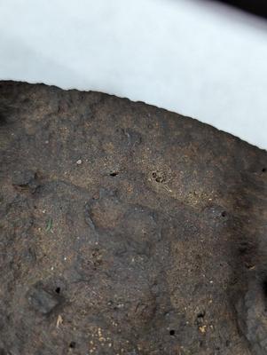 Vintage Cast Iron Sad Irons
