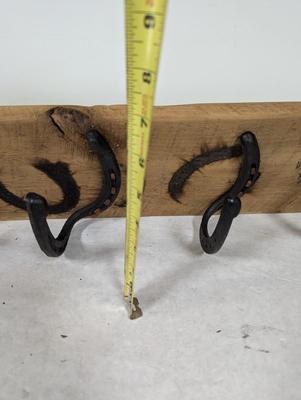 Horseshoe Wall Coat Rack