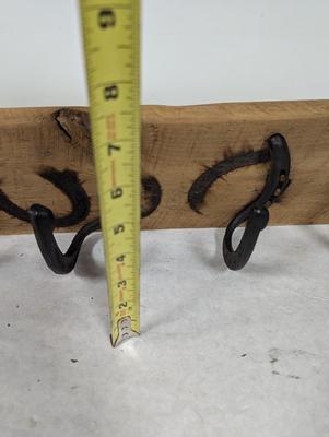 Horseshoe Wall Coat Rack