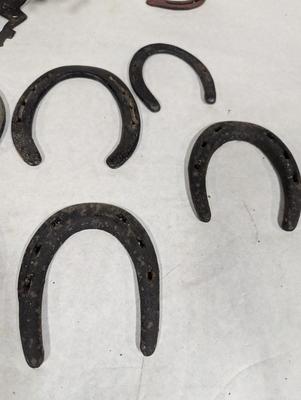 Cast Iron Horseshoes & Metal Horse Wall Decor