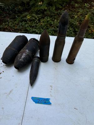 Caliber and Mortar Shell Casings #208