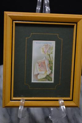 Vintage Framed Wills’s Cigarettes Roses Card, Mrs. Charles Lamplough