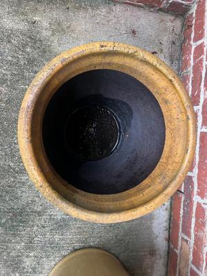 Flower Pot Lot