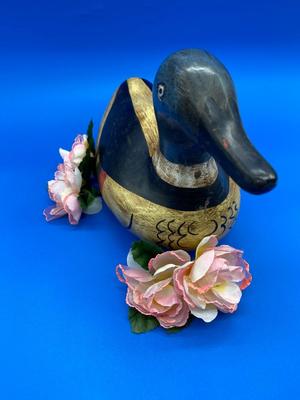 Duck Decoy
