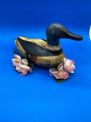 Duck Decoy