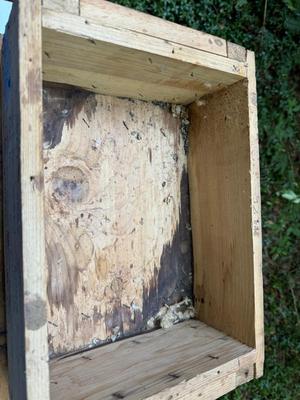 Vintage Empty Wooden Ammo Crates #166