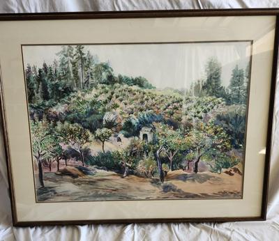 Vineyard by Annita Delano