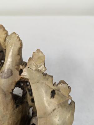Chinese Soapstone Carving