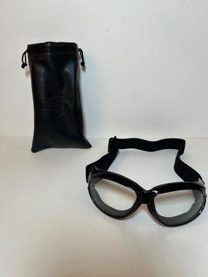 Lot O. glasses case and goggles