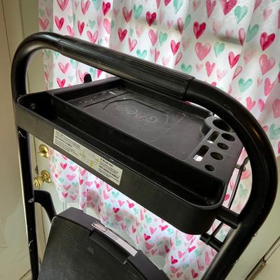 Lot 89 Tall Step stool
