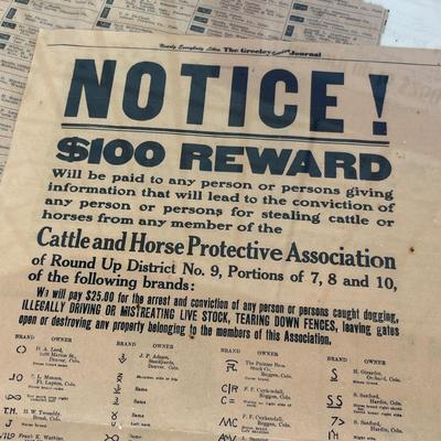 Lot 137 Brand picture & other