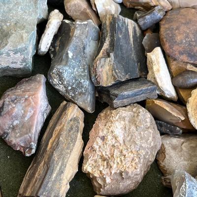 Lot 149 Petrified wood & other