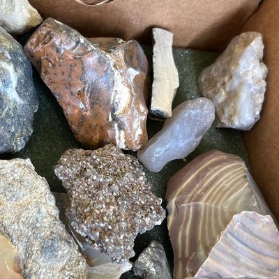 Lot 149 Petrified wood & other