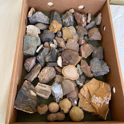 Lot 149 Petrified wood & other