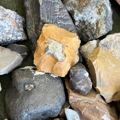Lot 149 Petrified wood & other