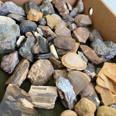 Lot 149 Petrified wood & other