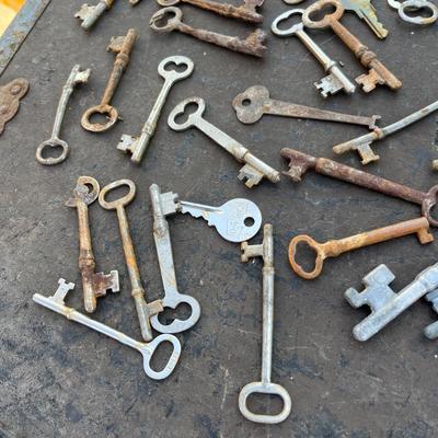 Lot 161 Skeleton Keys