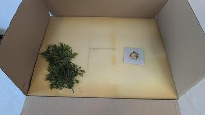 New Open Box Pendelfin Grandstand Scene Piece