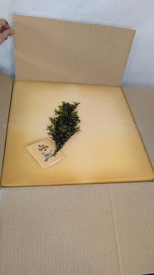 New Open Box Pendelfin Castle Tavern