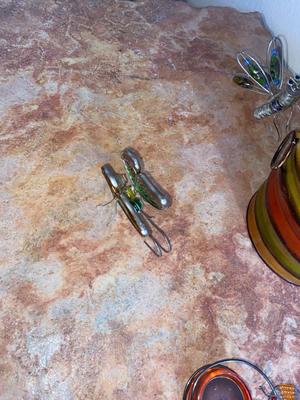 CANDLE IN A CAN WITH SOME PLANT HANGING BUGS & MORE