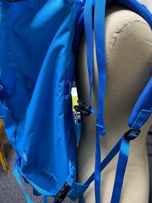 Patagonia Backpack - New