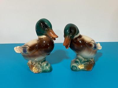 2 Royal Windsor Ducks