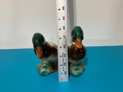 2 Royal Windsor Ducks