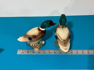 2 Royal Windsor Ducks