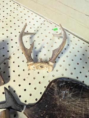 Vintage Decor Pulley Spittoon Paddle Horse Bit & More Vintage Items