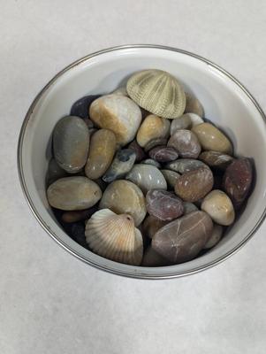Polished Rocks & Shells