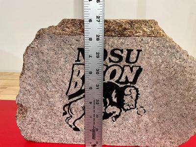 NDSU BISON Rock