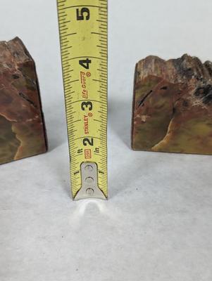 Petrified Wood Bookends