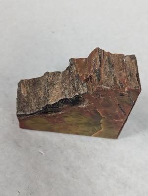 Petrified Wood Bookends