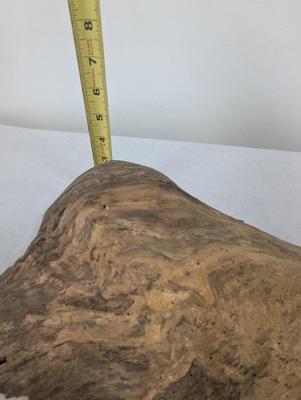 Weathered Driftwood